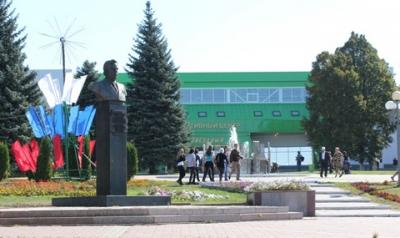 Турнир юных борцов вольников в Бессоновке