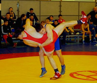 Чемпионат Воронежской области по вольной борьбе 2014г.
