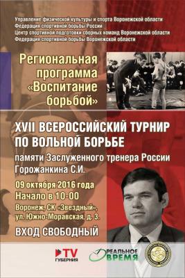 XVII Всероссийский турнир памяти Горожанкина С.И.