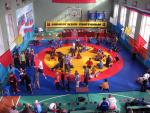 Нажмите для просмотра 0-213_t1.jpg