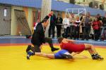 Нажмите для просмотра img_8188_t1.jpg
